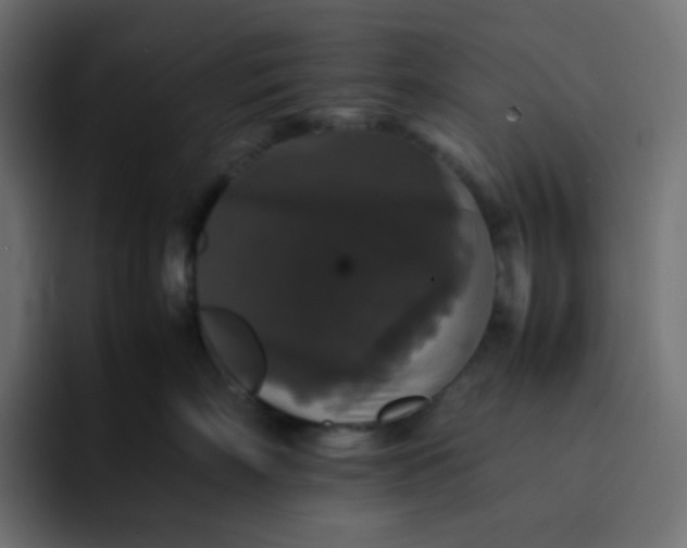 X0000092060718200710031100