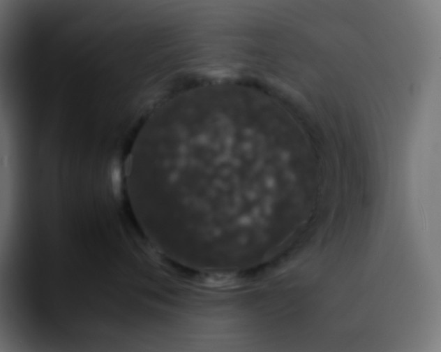 X0000092060720200710031100