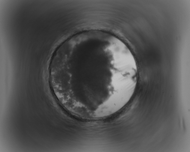 X0000092060721200710031100