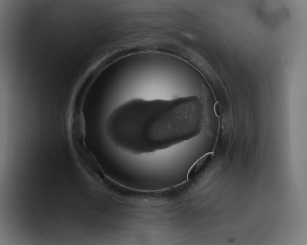 X0000092060722200710031100