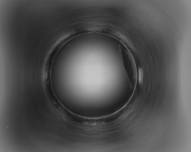 X0000092060723200710031100