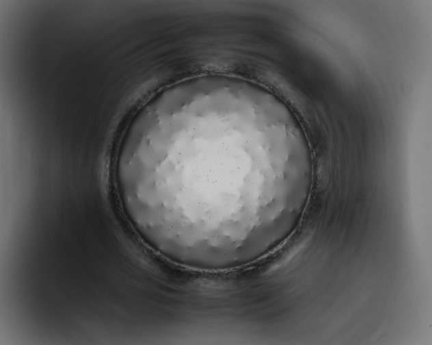 X0000092060725200710031100