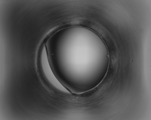 X0000092060728200710031100