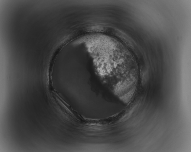 X0000092060729200710031100