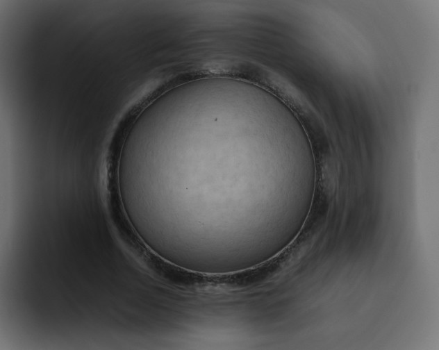 X0000092060730200710031100