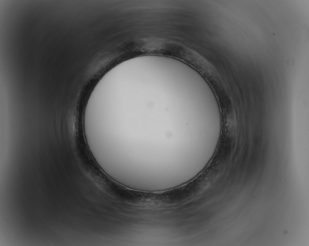 X0000092060732200710031100