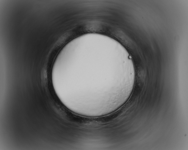 X0000092060734200710031100