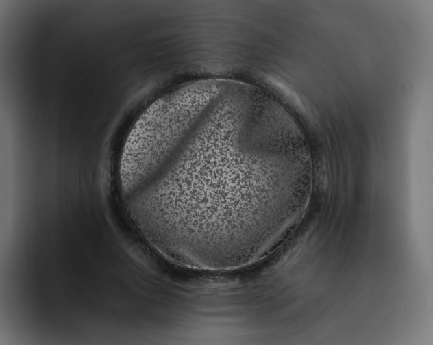 X0000092060736200710031100