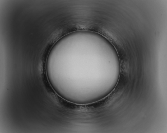 X0000092060738200710031100