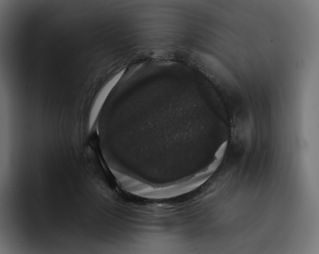 X0000092060748200710031100