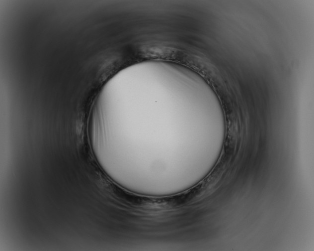 X0000092060749200710031100