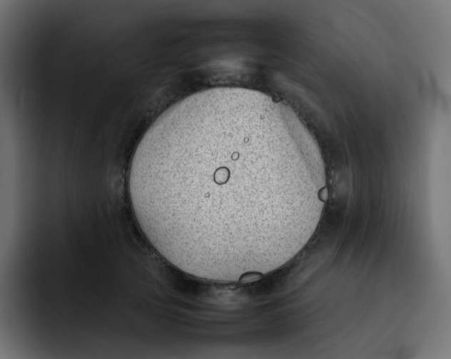 X0000092060753200710031100