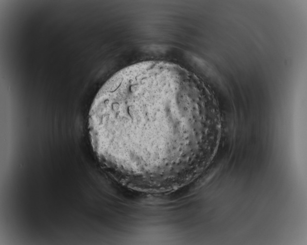 X0000092060758200710031100