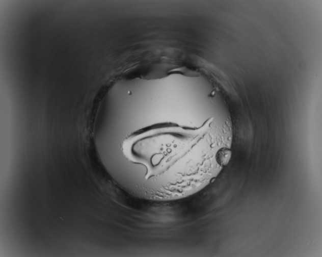 X0000092060759200710031100