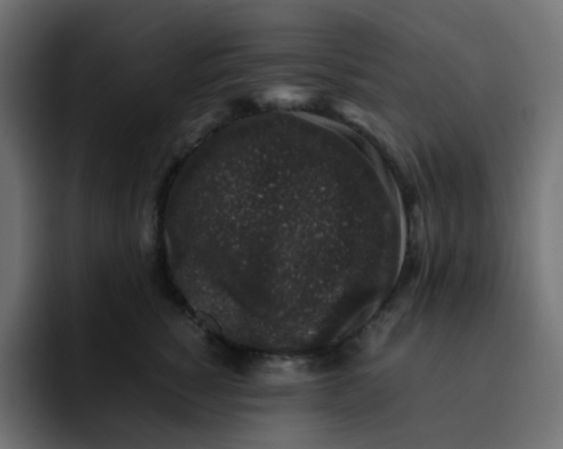 X0000092060760200710031100