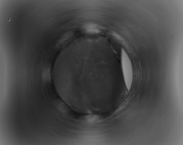 X0000092060762200710031100