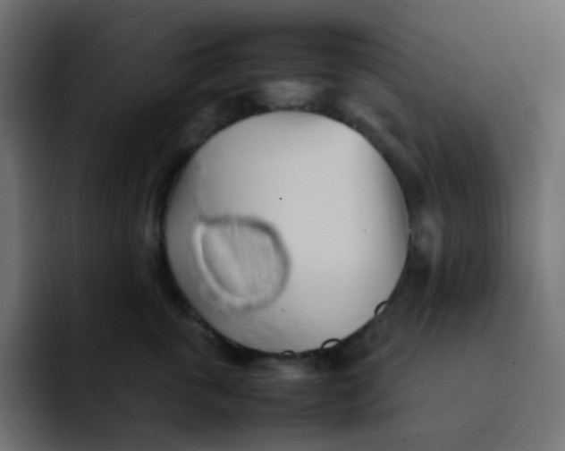 X0000092060763200710031100