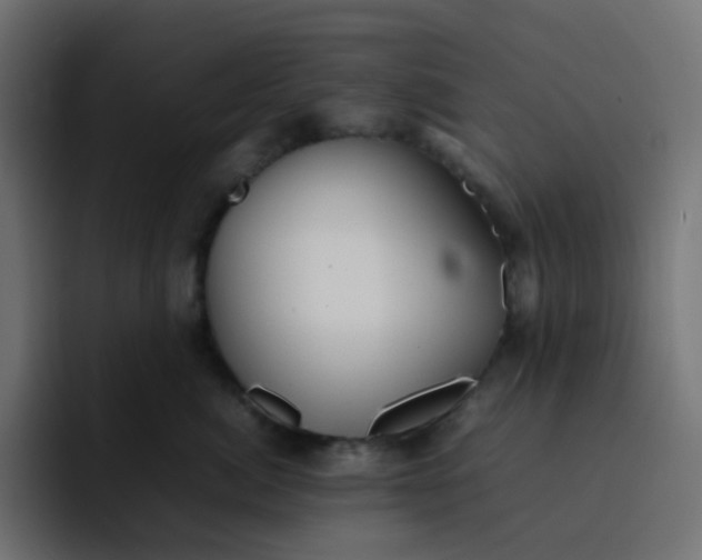 X0000092060764200710031100