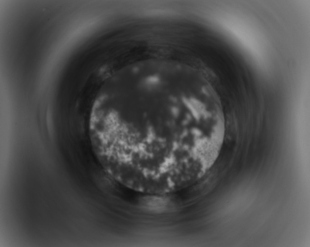 X0000092060765200710031100