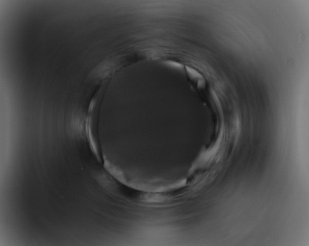 X0000092060766200710031100