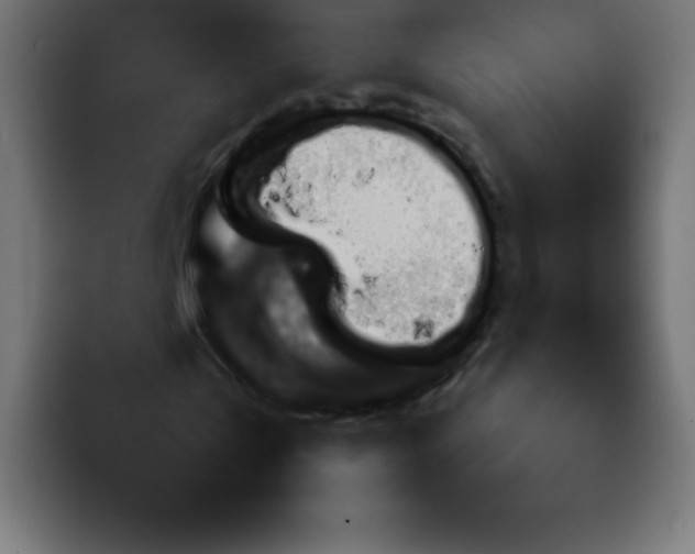 X0000092060769200710031100