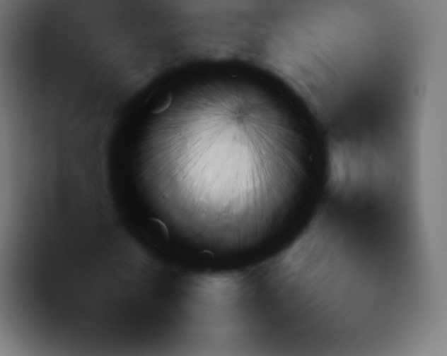 X0000092060770200710031100