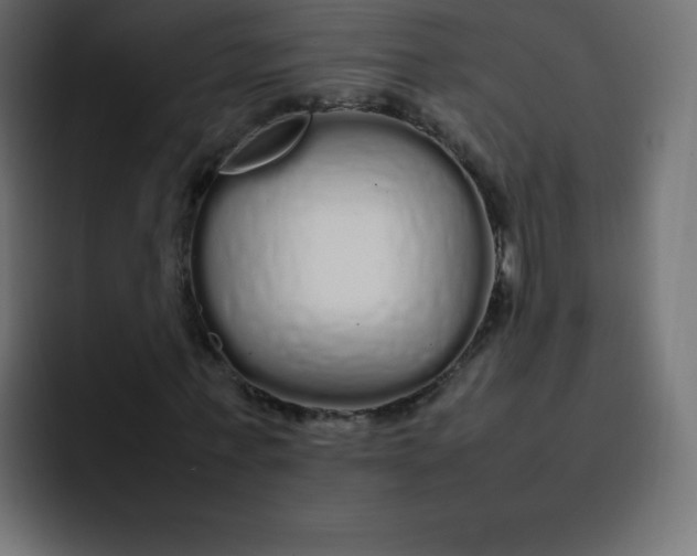 X0000092060771200710031100