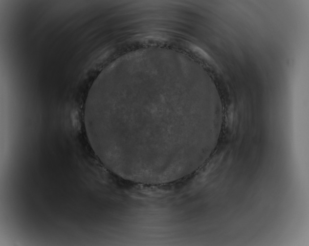 X0000092060774200710031100