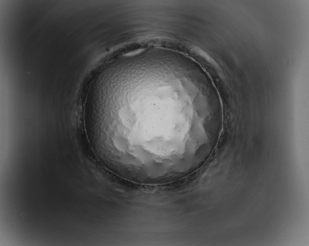 X0000092060775200710031100