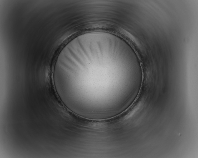 X0000092060778200710031100