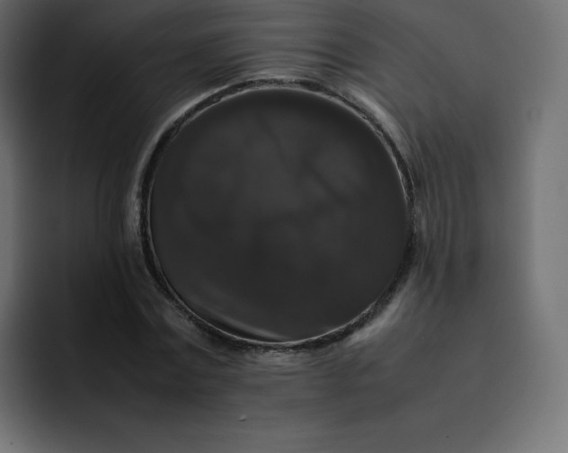 X0000092060779200710031100