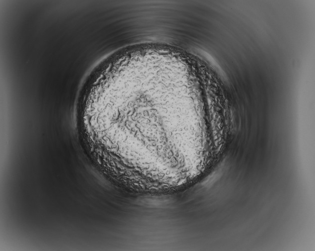 X0000092060780200710031100