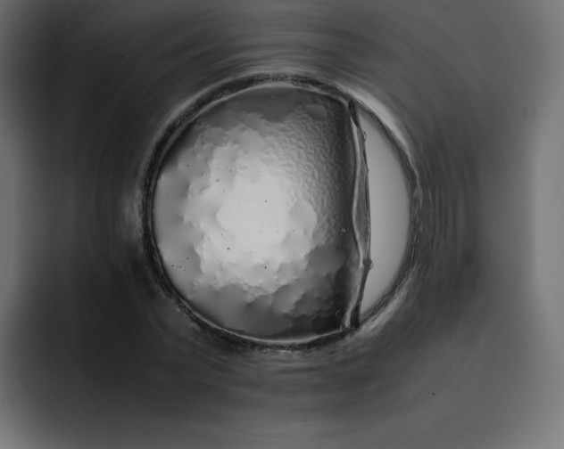 X0000092060783200710031100