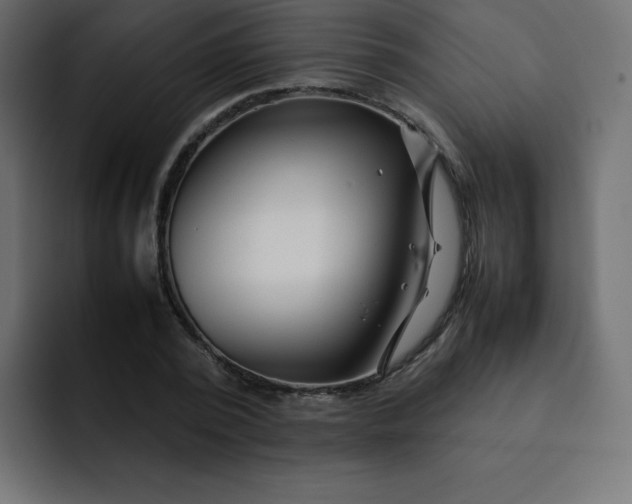 X0000092060784200710031100