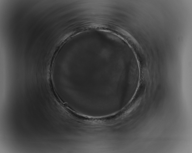 X0000092060785200710031100