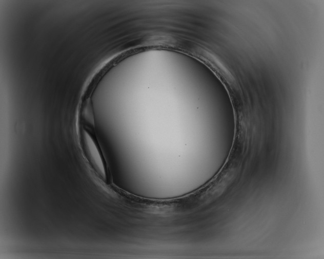 X0000092060788200710031100