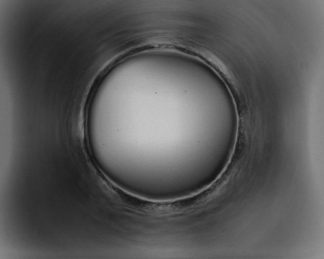 X0000092060791200710031100