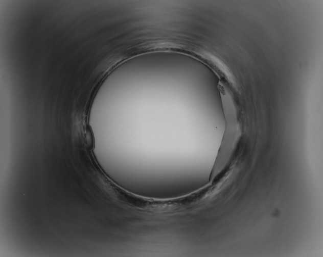 X0000092060793200710031100