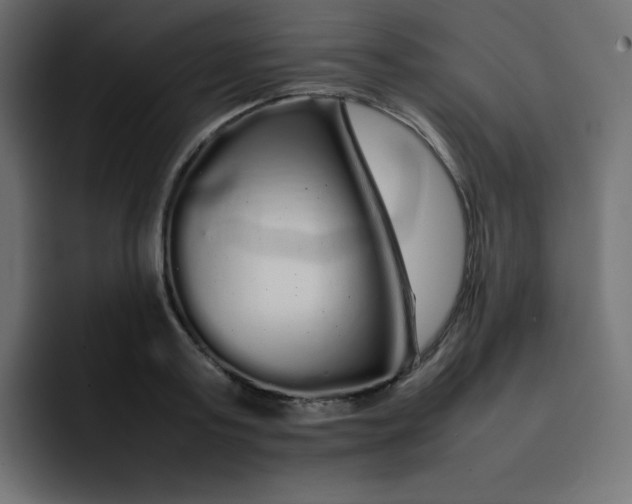 X0000092060795200710031059