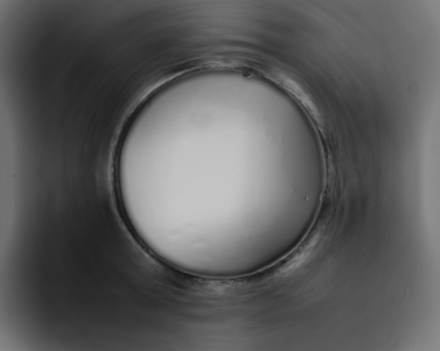 X0000092060803200710031059