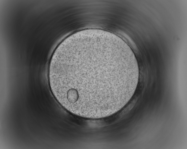 X0000092060804200710031059