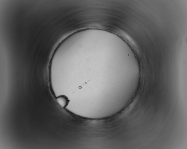 X0000092060808200710031059