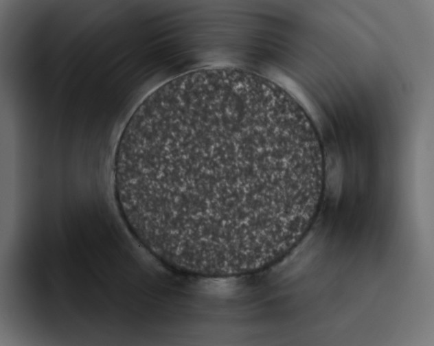 X0000092060810200710031059