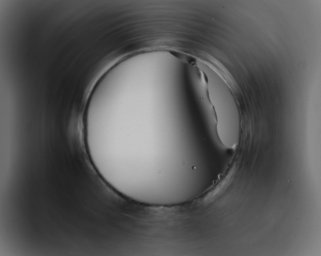 X0000092060812200710031059