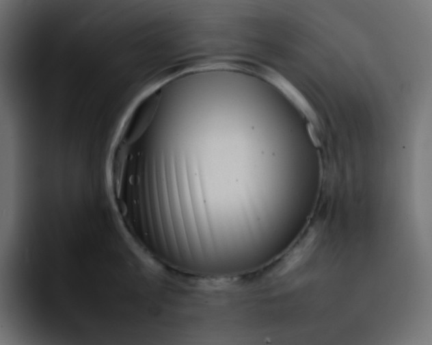 X0000092060813200710031059