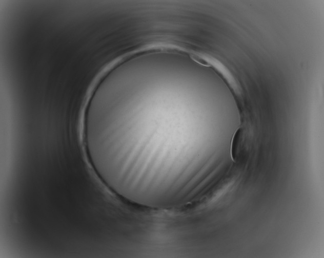 X0000092060815200710031059