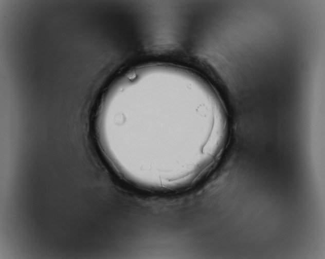 X0000092060817200710031059