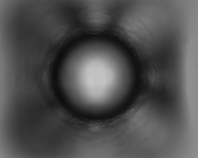 X0000092060818200710031059