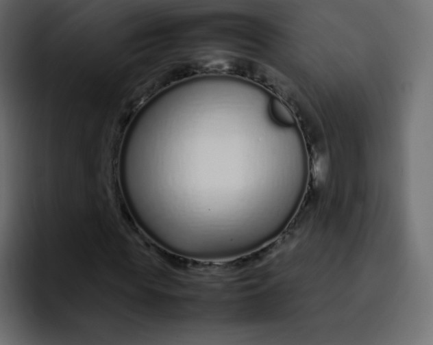 X0000092060819200710031059