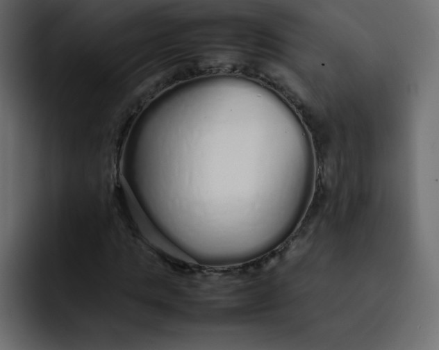 X0000092060821200710031059